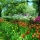 Calendar cu imagini Gardens, 31.5 x 48 cm, 12 file, 2026